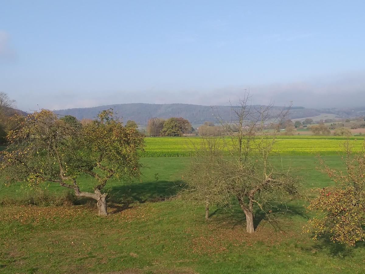 Ferienwohnungen Zum Lindenwirt Oberweser Kültér fotó